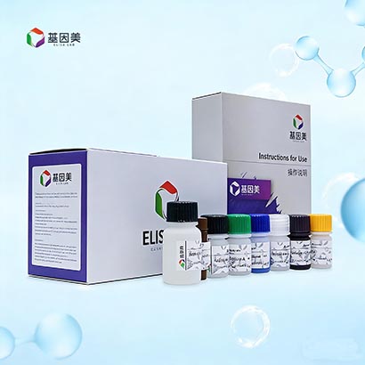 甲状腺素(T4)检测试剂盒