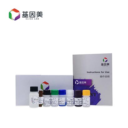 小鼠无翅型MMTV整合位点家族成员7B(WNT7B)ELISA Kit